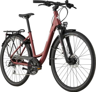 BIXS CAMPUS 3 DI BERRY dark berry M Produktbild 1