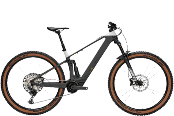 BULLS SONIC AM-SX 1 UD Carbon - light grey 29 Zoll XL