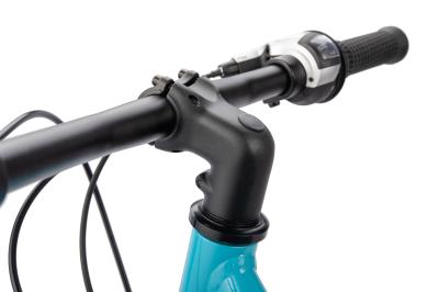 NALOO Chameleon 24", Mk2, 8-Speed, Light Blue Produktbild 4